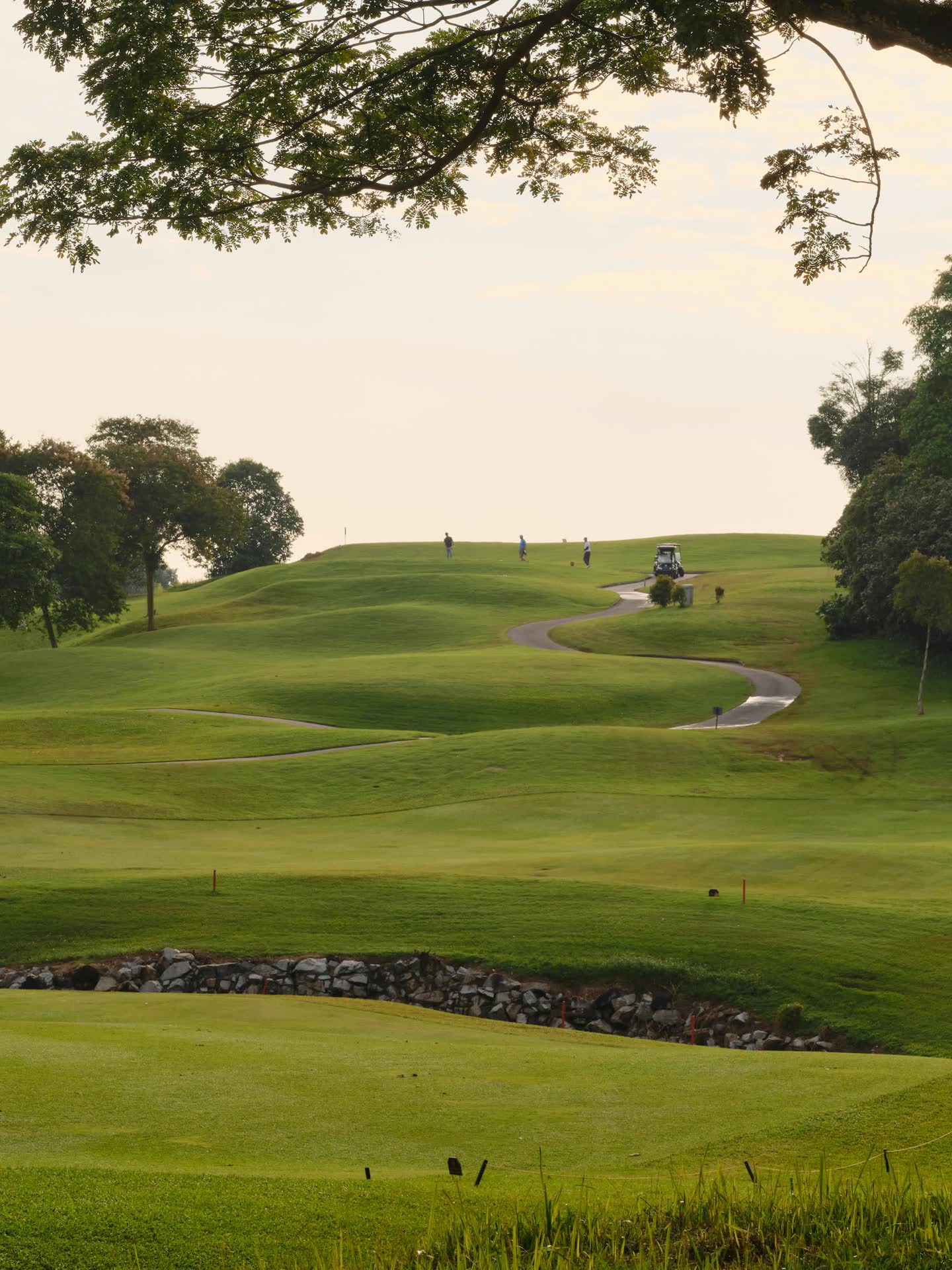 Golfer walking a fairway at sunset, bag over shoulder